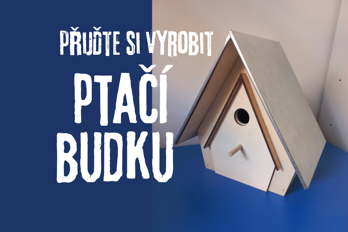 Ptačí budka